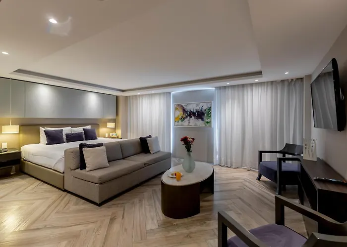 Isaaya Boutique By Wtc 4* Città del Messico